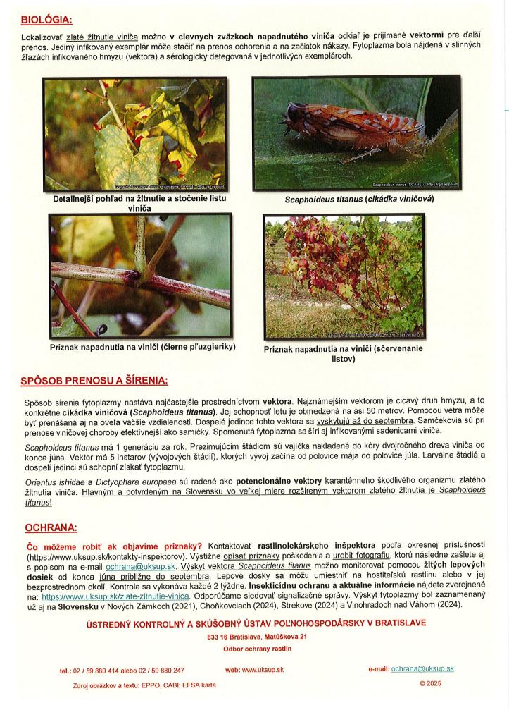 Info servis