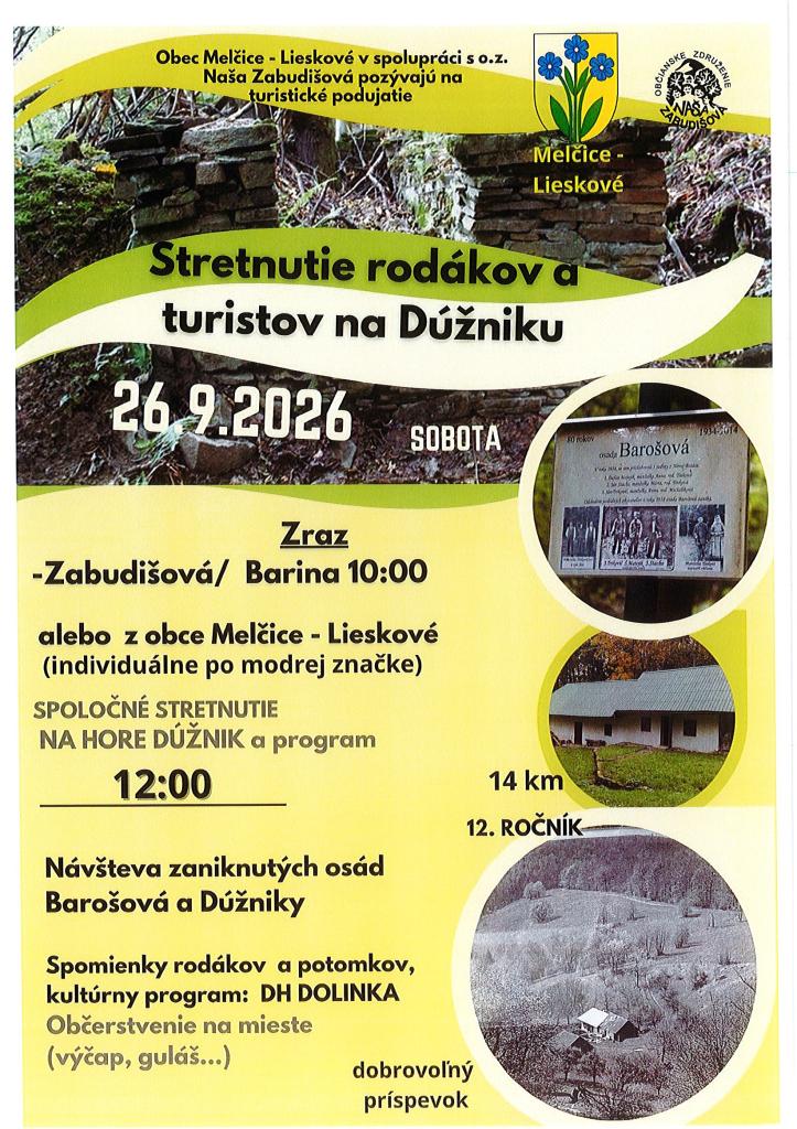 Info servis